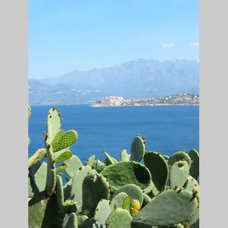 De Standing Porto Ricciaja Appartement *